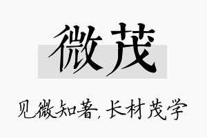 微茂名字的寓意及含义