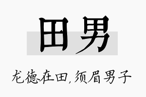 田男名字的寓意及含义