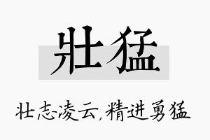 壮猛名字的寓意及含义