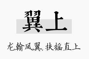 翼上名字的寓意及含义