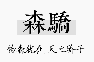 森骄名字的寓意及含义