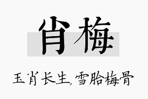 肖梅名字的寓意及含义