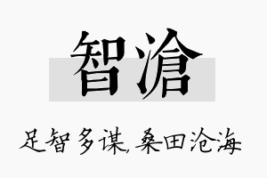 智沧名字的寓意及含义