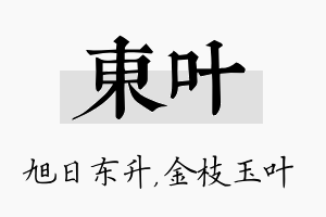 东叶名字的寓意及含义