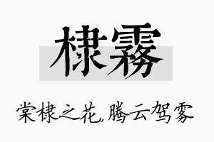 棣雾名字的寓意及含义