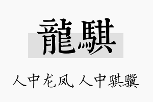 龙骐名字的寓意及含义