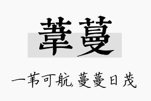 苇蔓名字的寓意及含义