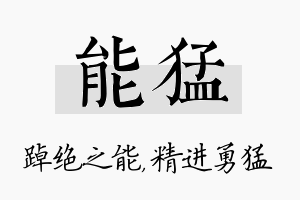 能猛名字的寓意及含义