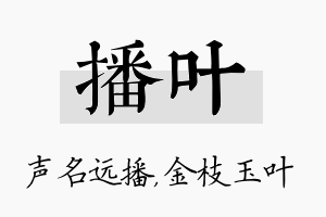 播叶名字的寓意及含义