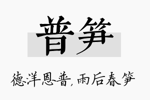 普笋名字的寓意及含义