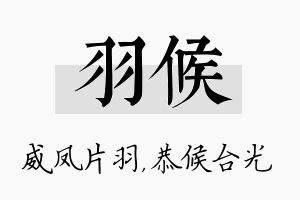 羽候名字的寓意及含义