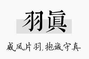 羽真名字的寓意及含义