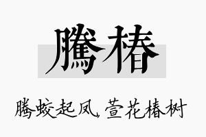 腾椿名字的寓意及含义