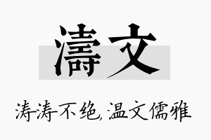 涛文名字的寓意及含义