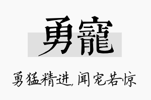 勇宠名字的寓意及含义