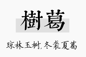 树葛名字的寓意及含义