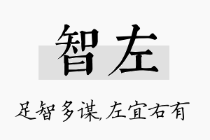 智左名字的寓意及含义