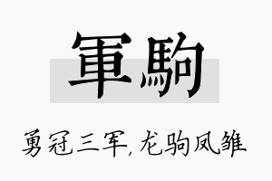 军驹名字的寓意及含义