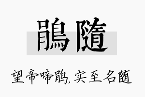 鹃随名字的寓意及含义