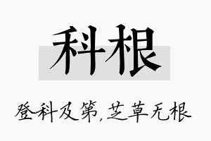 科根名字的寓意及含义