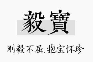 毅宝名字的寓意及含义