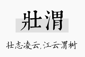 壮渭名字的寓意及含义