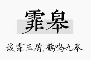 霏皋名字的寓意及含义