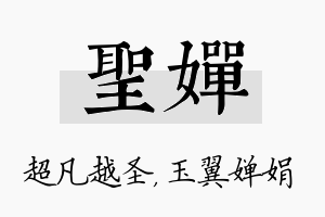 圣婵名字的寓意及含义