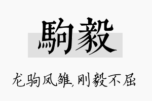 驹毅名字的寓意及含义