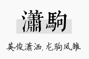 潇驹名字的寓意及含义