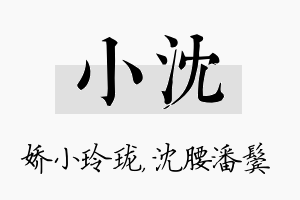 小沈名字的寓意及含义