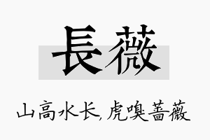 长薇名字的寓意及含义