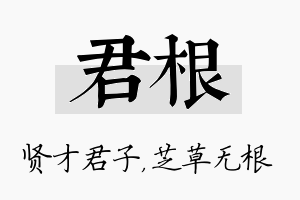 君根名字的寓意及含义