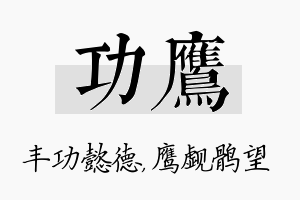 功鹰名字的寓意及含义