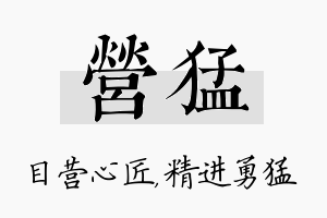 营猛名字的寓意及含义