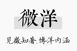 微洋名字的寓意及含义