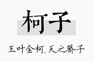 柯子名字的寓意及含义