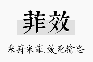 菲效名字的寓意及含义