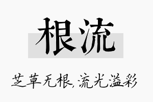 根流名字的寓意及含义