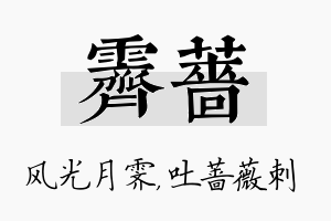 霁蔷名字的寓意及含义