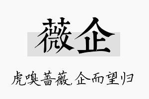 薇企名字的寓意及含义