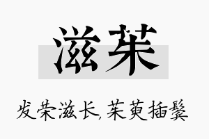 滋茱名字的寓意及含义