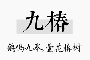 九椿名字的寓意及含义