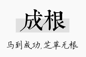 成根名字的寓意及含义