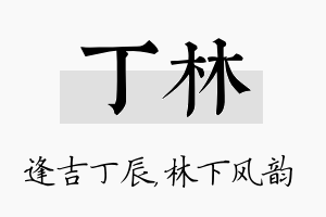 丁林名字的寓意及含义