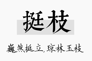 挺枝名字的寓意及含义