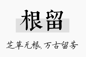 根留名字的寓意及含义