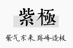 紫极名字的寓意及含义