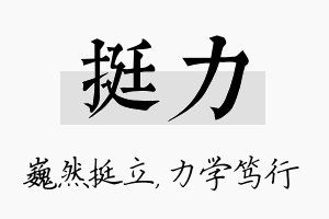 挺力名字的寓意及含义