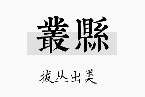 丛县名字的寓意及含义